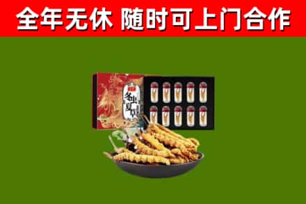 铜梁区烟酒回收冬虫夏草礼盒.jpg