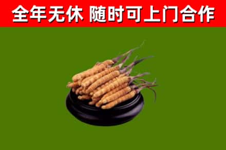 铜梁区烟酒回收冬虫夏草.jpg