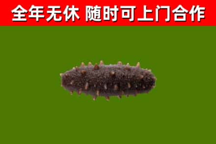 铜梁区烟酒回收干海参.jpg
